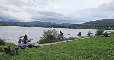 Snímek obrazovky 2025-10-09 081806 (1).png